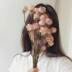 User Profile: Pauce