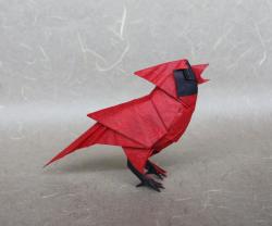 User Profile: paperBird3348