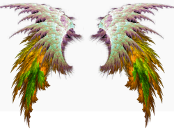 User Profile: AngelicFall