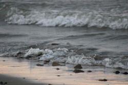 User Profile: courteousWater5443