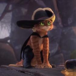 User Profile: sillycritter