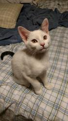 User Profile: littlepurrmaid88