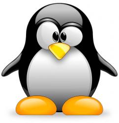 User Profile: bruda