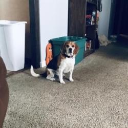 User Profile: calmSugar7735