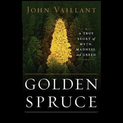 User Profile: GoldenSpruce