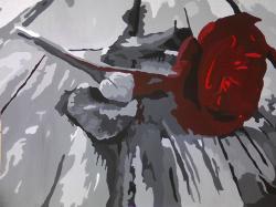 User Profile: tking14