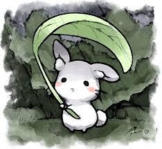 User Profile: Stormy3