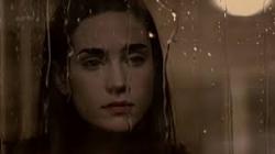User Profile: loyalTortoise7680