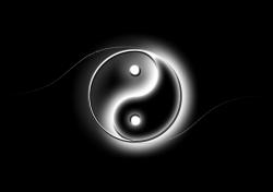 User Profile: YingYang248