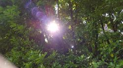 User Profile: Dropletofhope