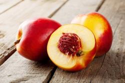 User Profile: pluckyNectarine90