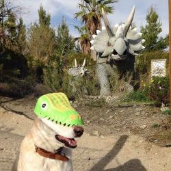 User Profile: niceborderline