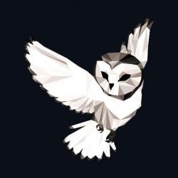 User Profile: NightOwl007