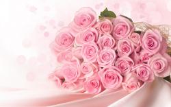 User Profile: SparkleOfTheSpirit