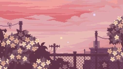 User Profile: determinedSummer25