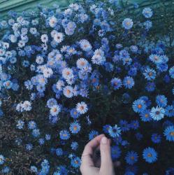 User Profile: Princesspruprupoo