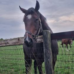 User Profile: AnnaSplat