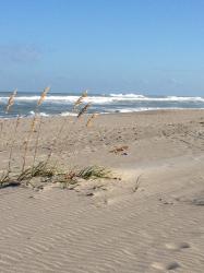 User Profile: beachlover18