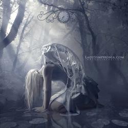 User Profile: HauntingEcho