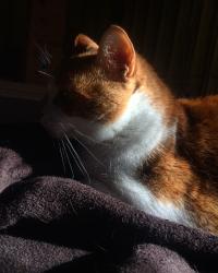 User Profile: huggerofcats