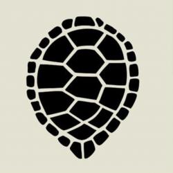 User Profile: ClumsyTurtle48
