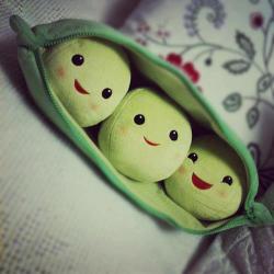 User Profile: GirlandLife