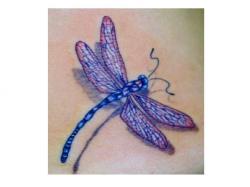 User Profile: Dragonfly60