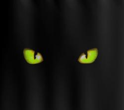 User Profile: TheCatBehindTheCurtain