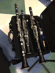 User Profile: TheClarinetDork