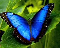 User Profile: nalara337