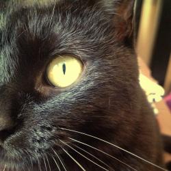 User Profile: J2213