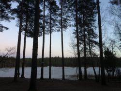 User Profile: intuitiveWater6984
