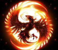 User Profile: RoguePhoenix