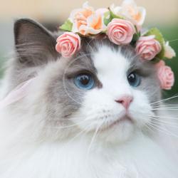 User Profile: sincerelyanne