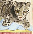 User Profile: StoryPainter