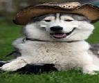User Profile: OldWestSpirit