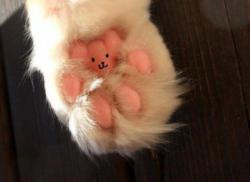 User Profile: Mittens3
