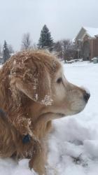 User Profile: Capturethemoment0401