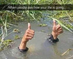 User Profile: inthemiddle
