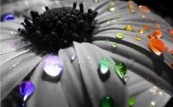 User Profile: raindrop791