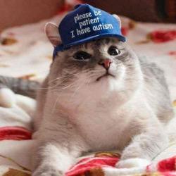 User Profile: catchachincha