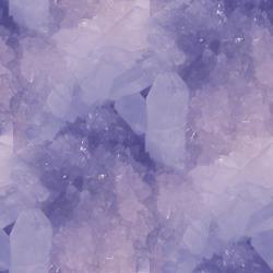 User Profile: veri