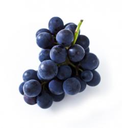 User Profile: flamboyantGrapes7732