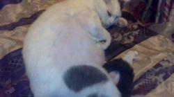 User Profile: SNowbby8