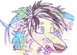 User Profile: peaceWolf1743