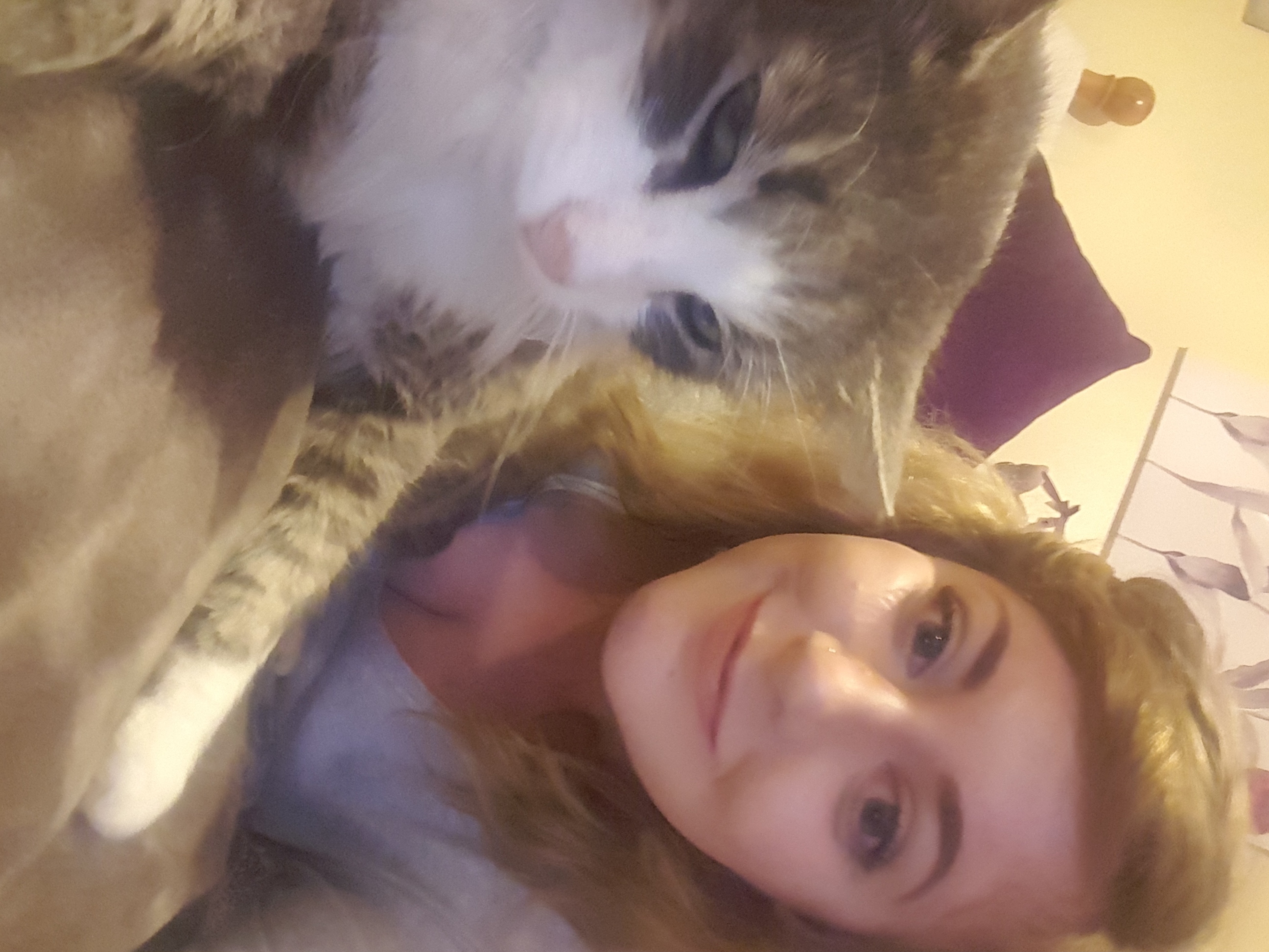 User Profile: vwgirl91