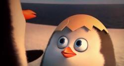 User Profile: neatPenguin1299