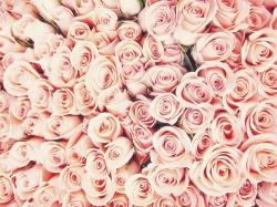 User Profile: EmotionalSugar
