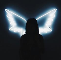 User Profile: AngelxxWings