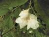 User Profile: Soulcry